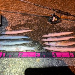 話しが違う❗️…