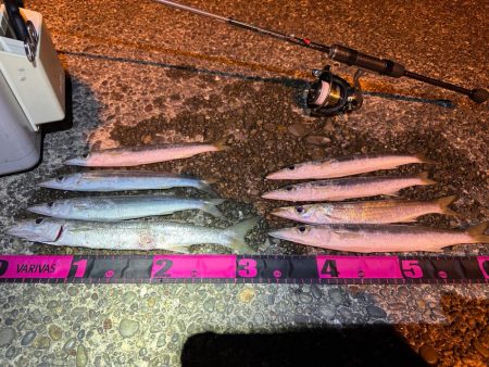 話しが違う❗️…