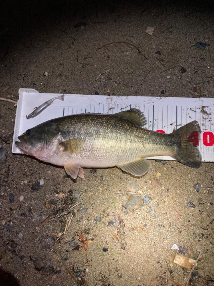 春バス2連発！！