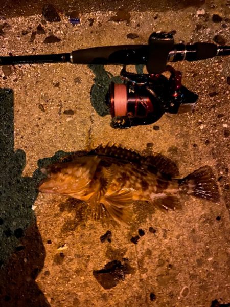 メバリングのつもりが