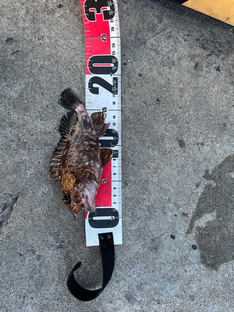 春のタケノコ祭り