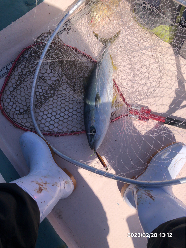 2/28 伊島沖ジギング