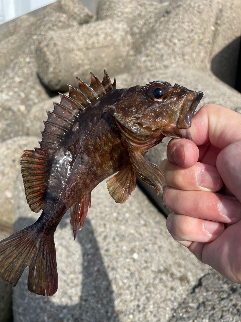 帰ってきた穴釣りNo.9