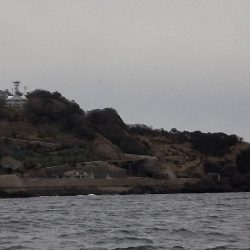 冬旬ヤリイカ釣り！（越前岬沖）