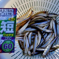 愛知県入鹿池ボート ワカサギ釣り！