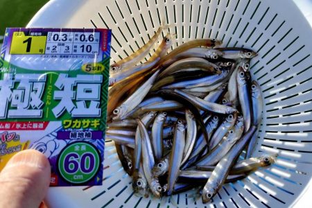 愛知県入鹿池ボート ワカサギ釣り！