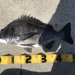 竿を飛ばしたのは