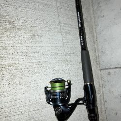 ナイトシーバス