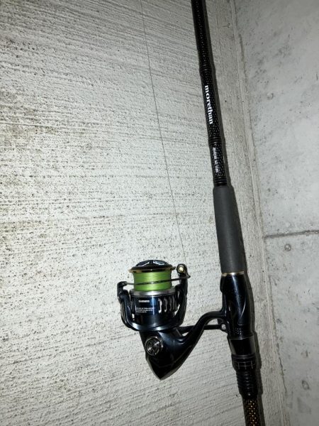 ナイトシーバス