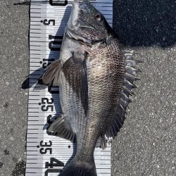 イチノ兄弟（兄）釣果！