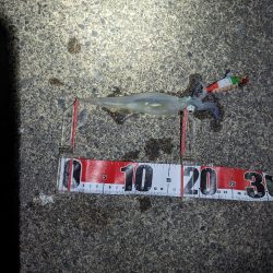 このままシーズン終了か？