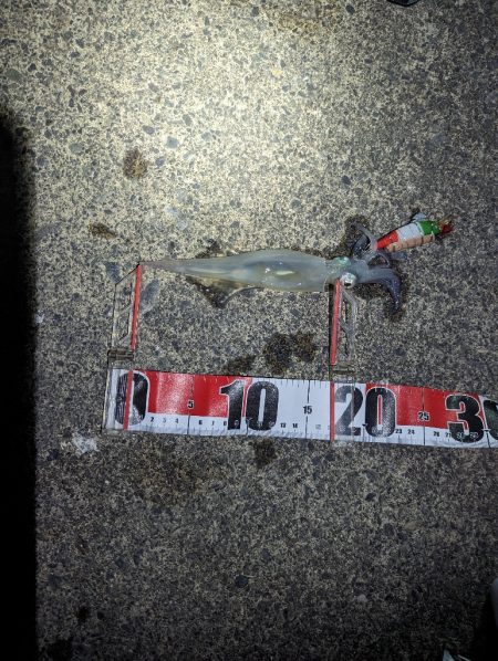 このままシーズン終了か？