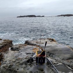 和歌山市江（吉丸渡船）で磯フカセ