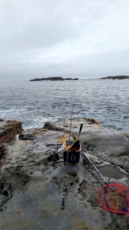 和歌山市江（吉丸渡船）で磯フカセ
