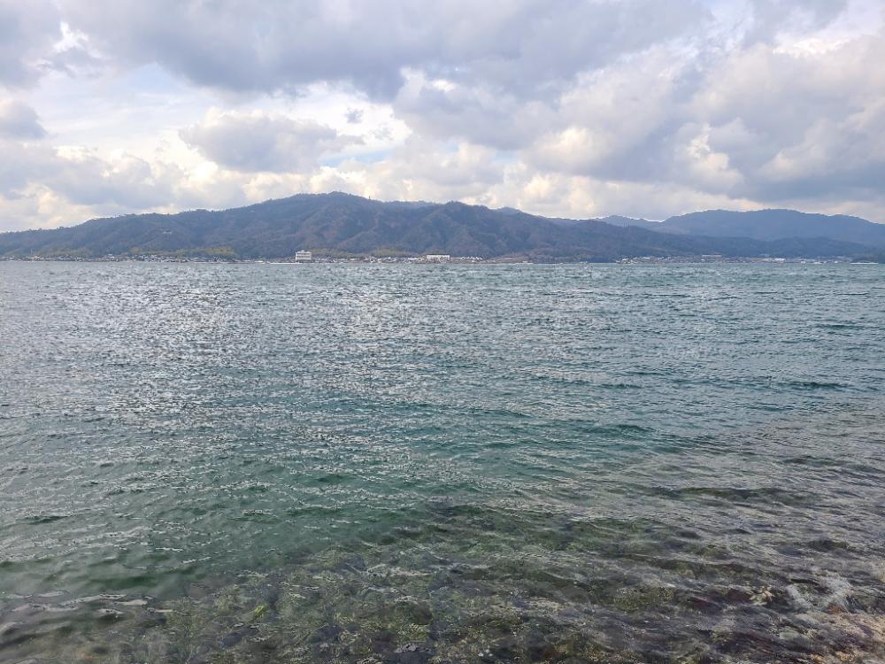 いいサイズだったが…