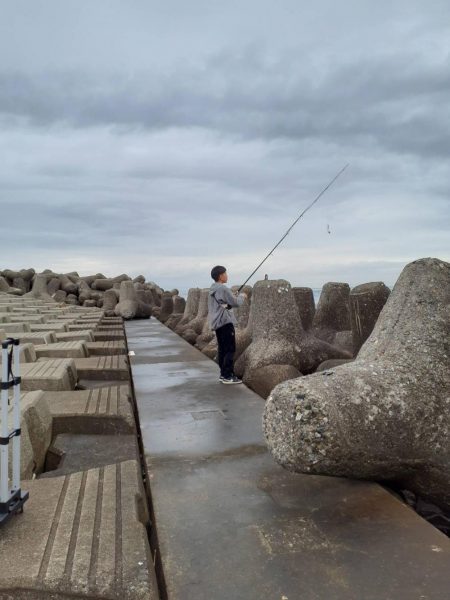 小島漁港で鰯と鯖