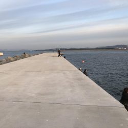 水軒一文字でアジ