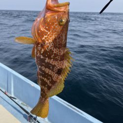的場大島沖　キジハタ