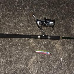 西宮周辺 シーバス