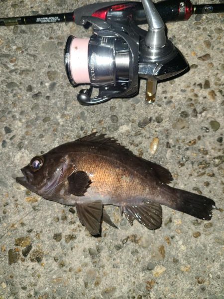 メバリングです