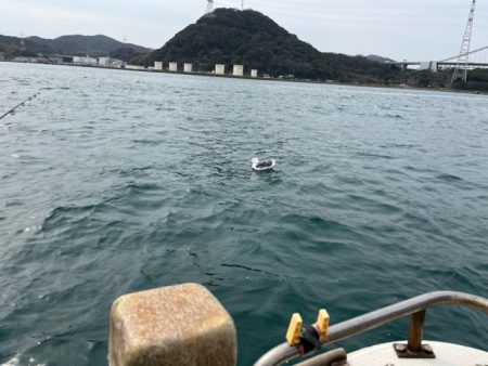 春の関門にアラカブ狙って行って来ました