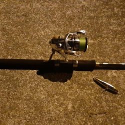 西宮　シーバス