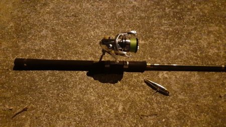 西宮　シーバス