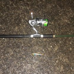 西宮周辺 シーバス