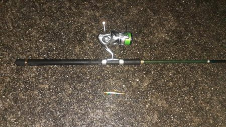 西宮周辺 シーバス