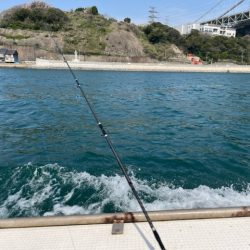 関門海峡でイカ・アラカブのリレー便に乗ってきました