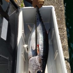 10kgオーバーのトンボ