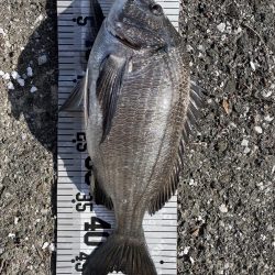 イチノ(兄)釣果!