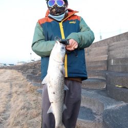 夕暮れのプチsalt water game