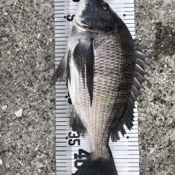 イチノ兄弟(兄)釣果!