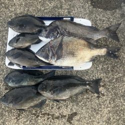 たかたかの釣り日記