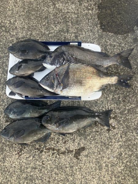 たかたかの釣り日記