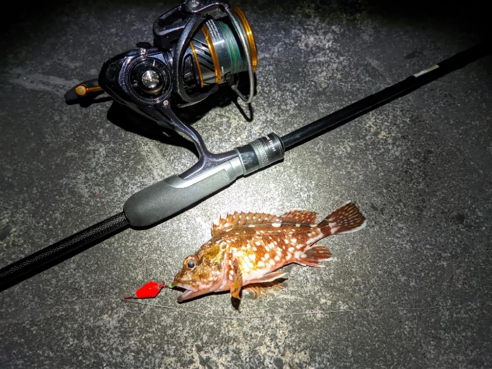 これはこれでありなのか