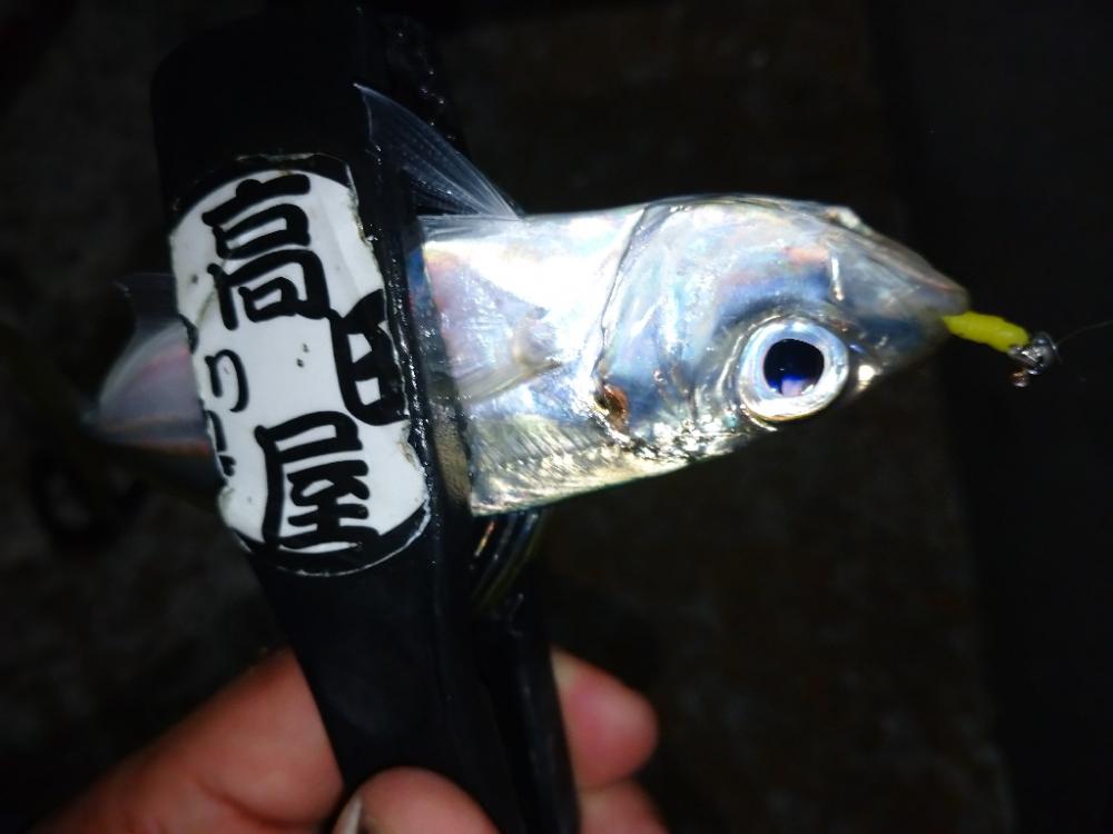 クニャーンで爆釣