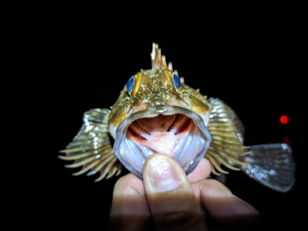 釣りって難しい