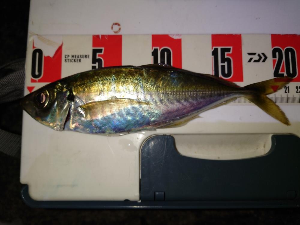 ポンポンパンパン