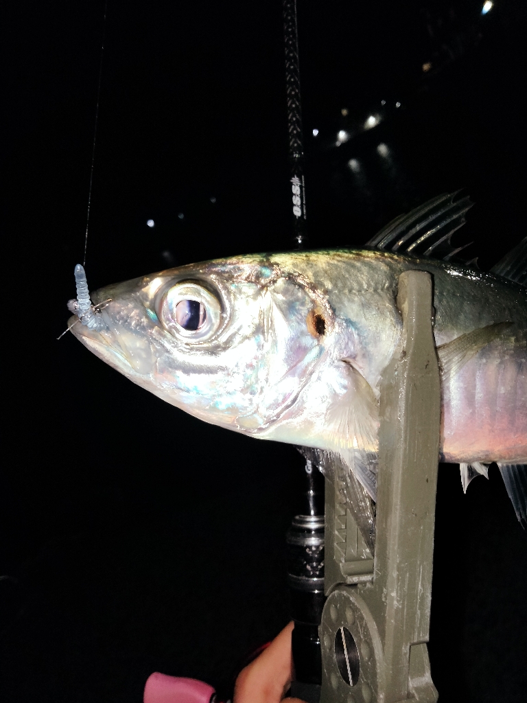 自己記録更新！