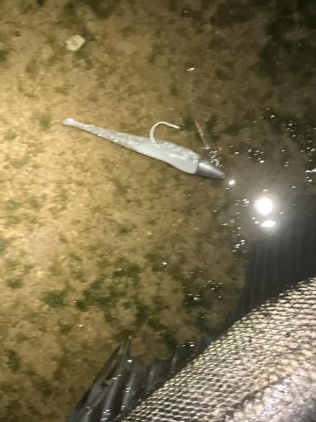 シラスパターン