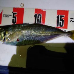 アウェイの洗礼