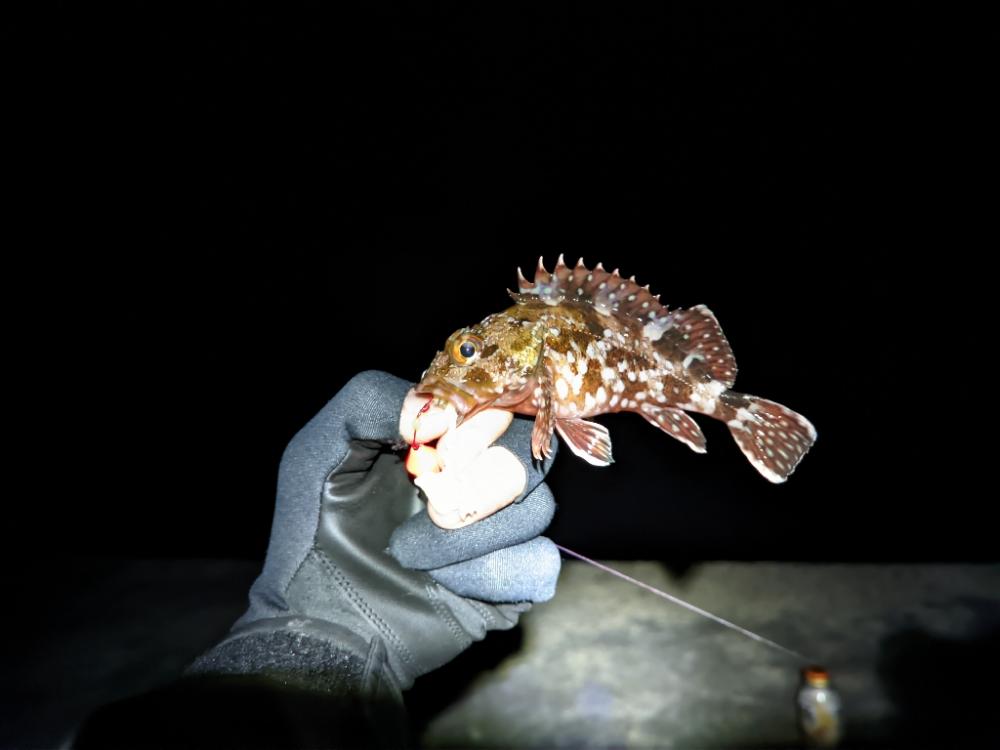 悪状況での釣り