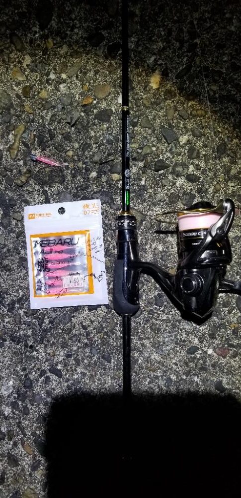 初島漁港周辺 メバリングのはずが