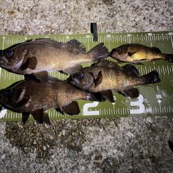 ドリフトメバリング