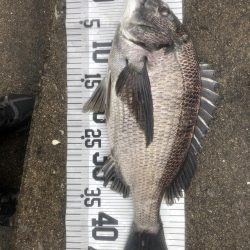 イチノ兄弟（兄）釣果！