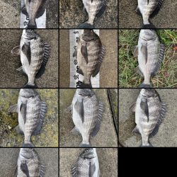 イチノ兄弟(兄)釣果!