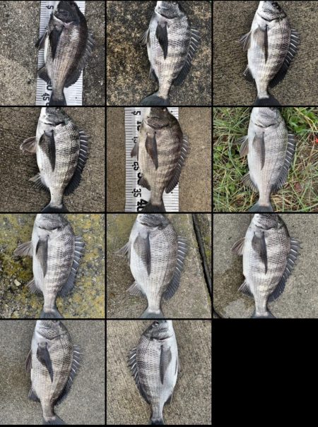 イチノ兄弟(兄)釣果!