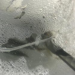 朝マズメのアジ釣り